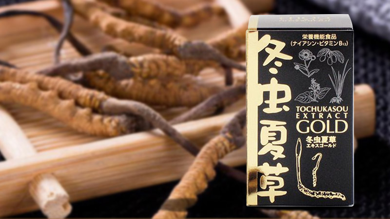 đông trùng hạ thảo