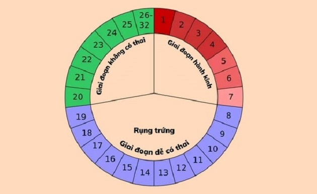 Cách tính ngày quan hệ cũng là một cách để sinh con gái theo ý muốn