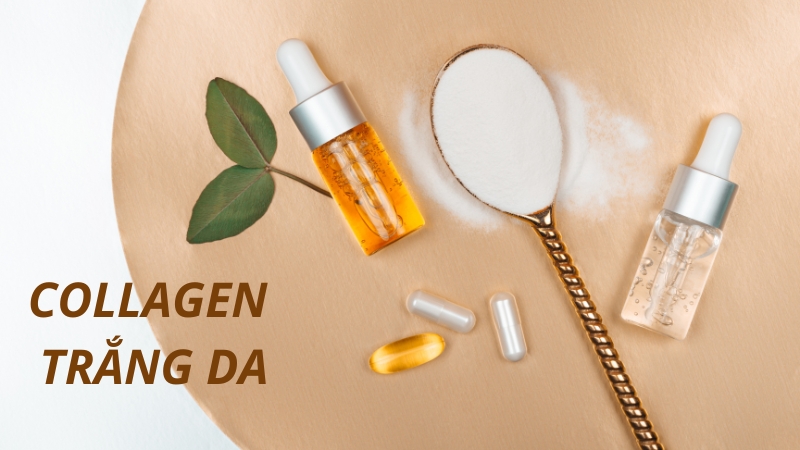 Collagen là sản phẩm làm đẹp cực kỳ quen thuộc đối với chị em phụ nữ hiện nay. 