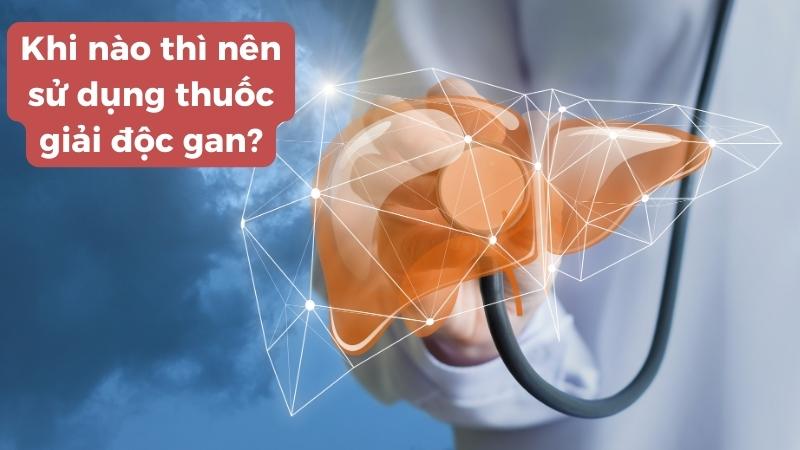 Thuốc giải độc gan thích hợp sử dụng cho người thường xuyên uống bia rượu, bị nóng trong, nổi mụn