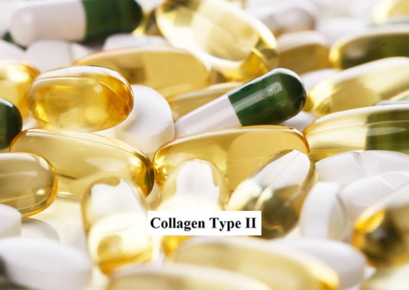 Collagen type 2 có công dụng bổ trợ xương khớp, tăng cường hệ vận động dẻo dai