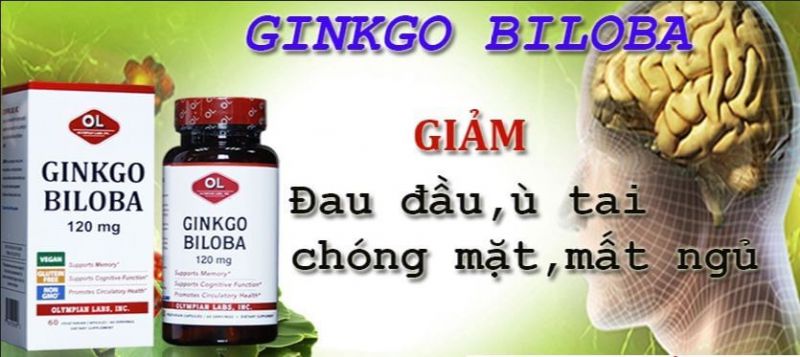 Viên uống bổ não Olympian Labs Ginkgo Biloba là sản phẩm hỗ trợ điều trị các hội chứng đau đầu, chóng mặt, mệt mỏi