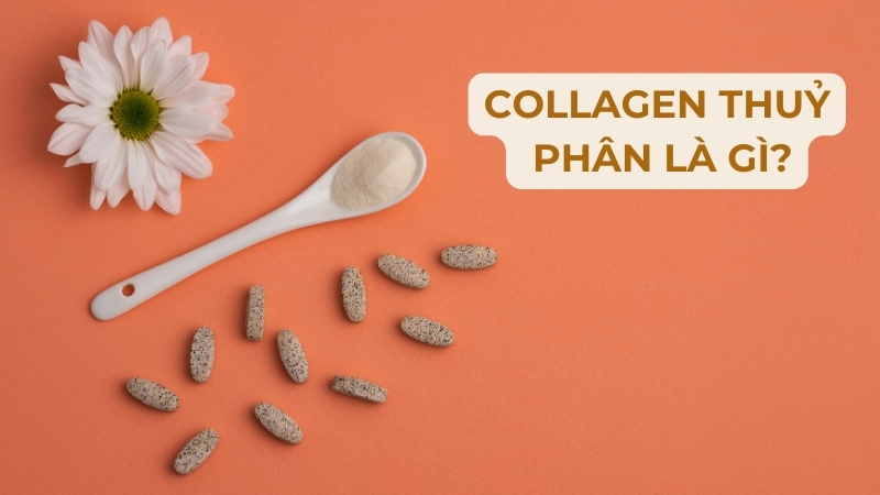 Collagen thủy phân là sản phẩm được sản xuất theo phương pháp thủy phân collagen tự nhiên