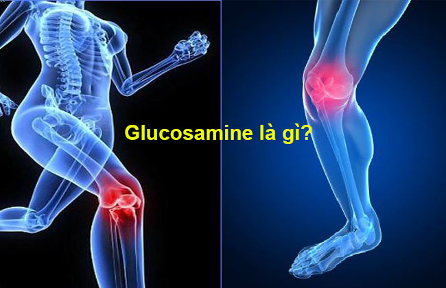 Glucosamine