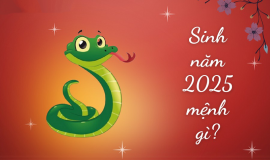 Giải đáp: Năm 2025 là năm con gì và mệnh gì, hợp tuổi nào?