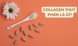 Collagen thủy phân là gì và có tác dụng gì?