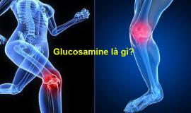 Glucosamine là chất gì và có công dụng gì?
